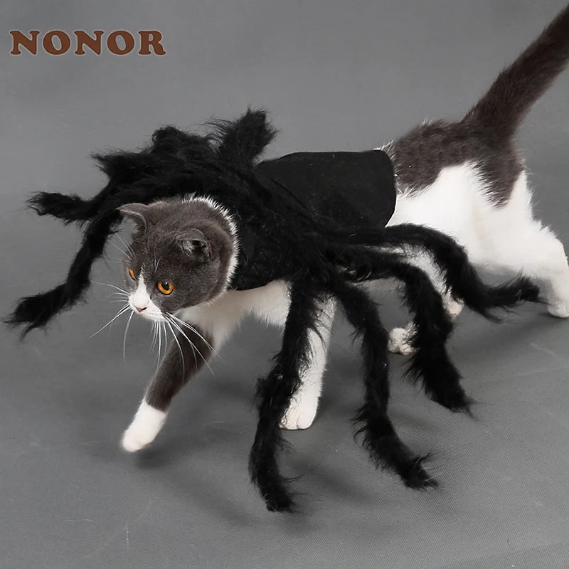 Halloween Spider Costume for Cats & Dogs