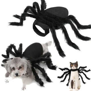 Halloween Spider Costume for Cats & Dogs