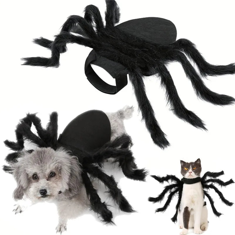 Halloween Spider Costume for Cats & Dogs