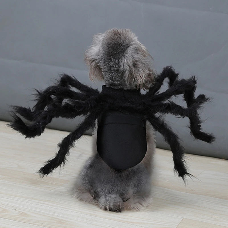 Halloween Spider Costume for Cats & Dogs